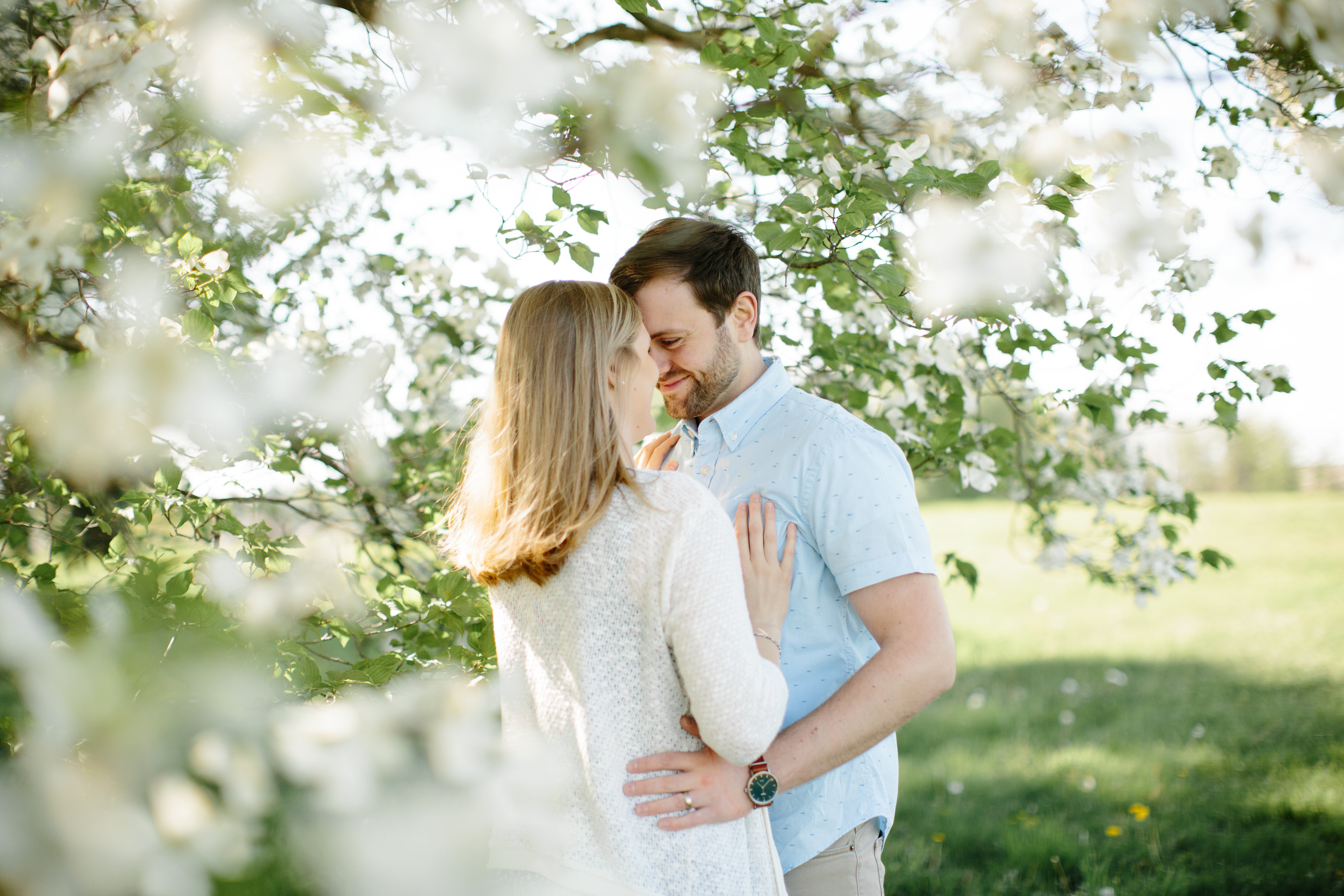 couple standing in tree blooms during engagement session