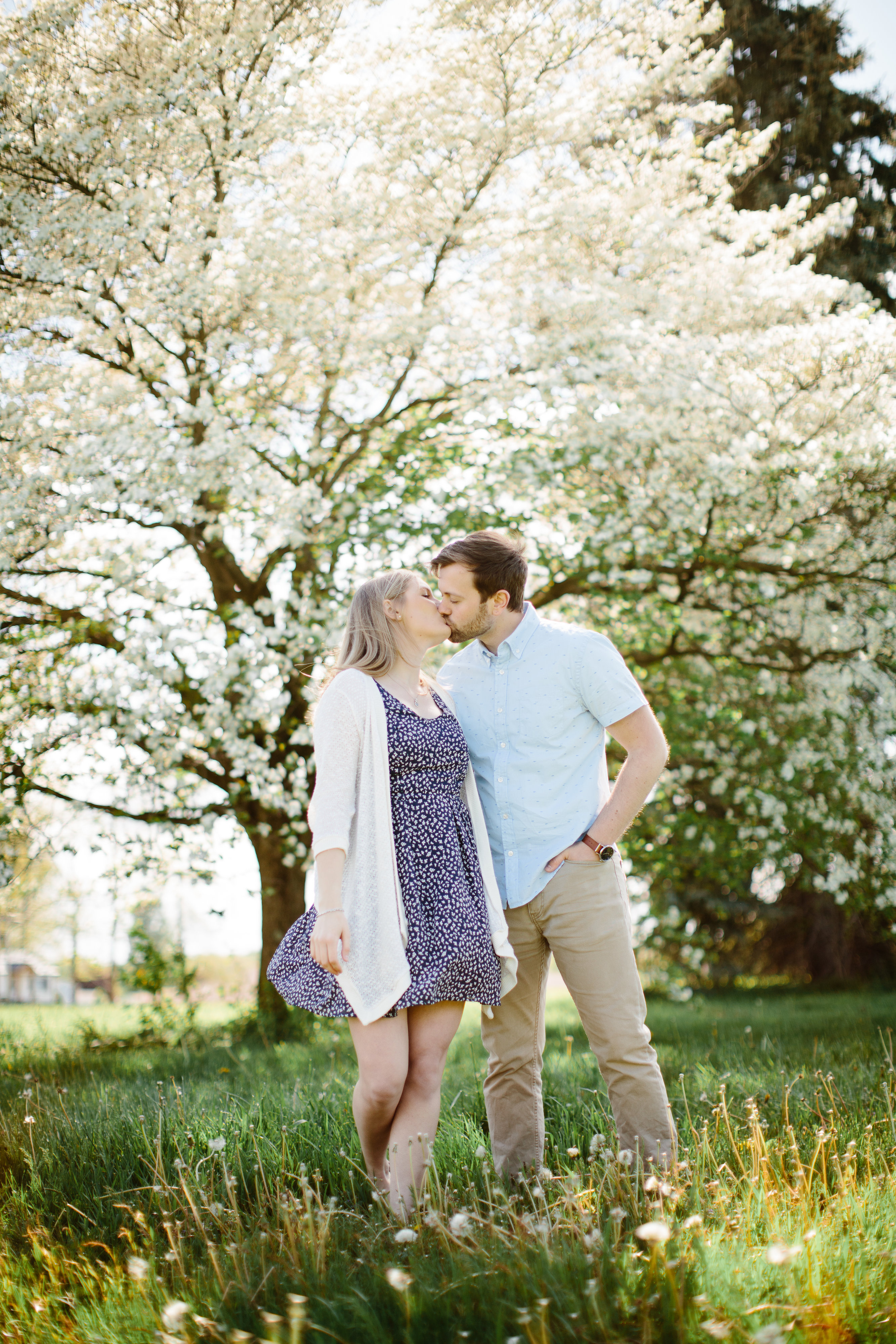 couple kissing in front of blooming tree in spring engagement session
