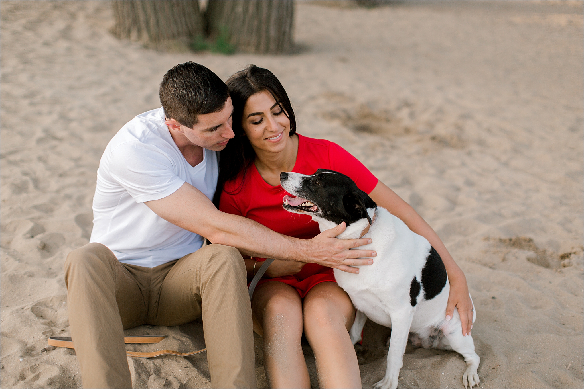 dog in engagement session photographs on the beach