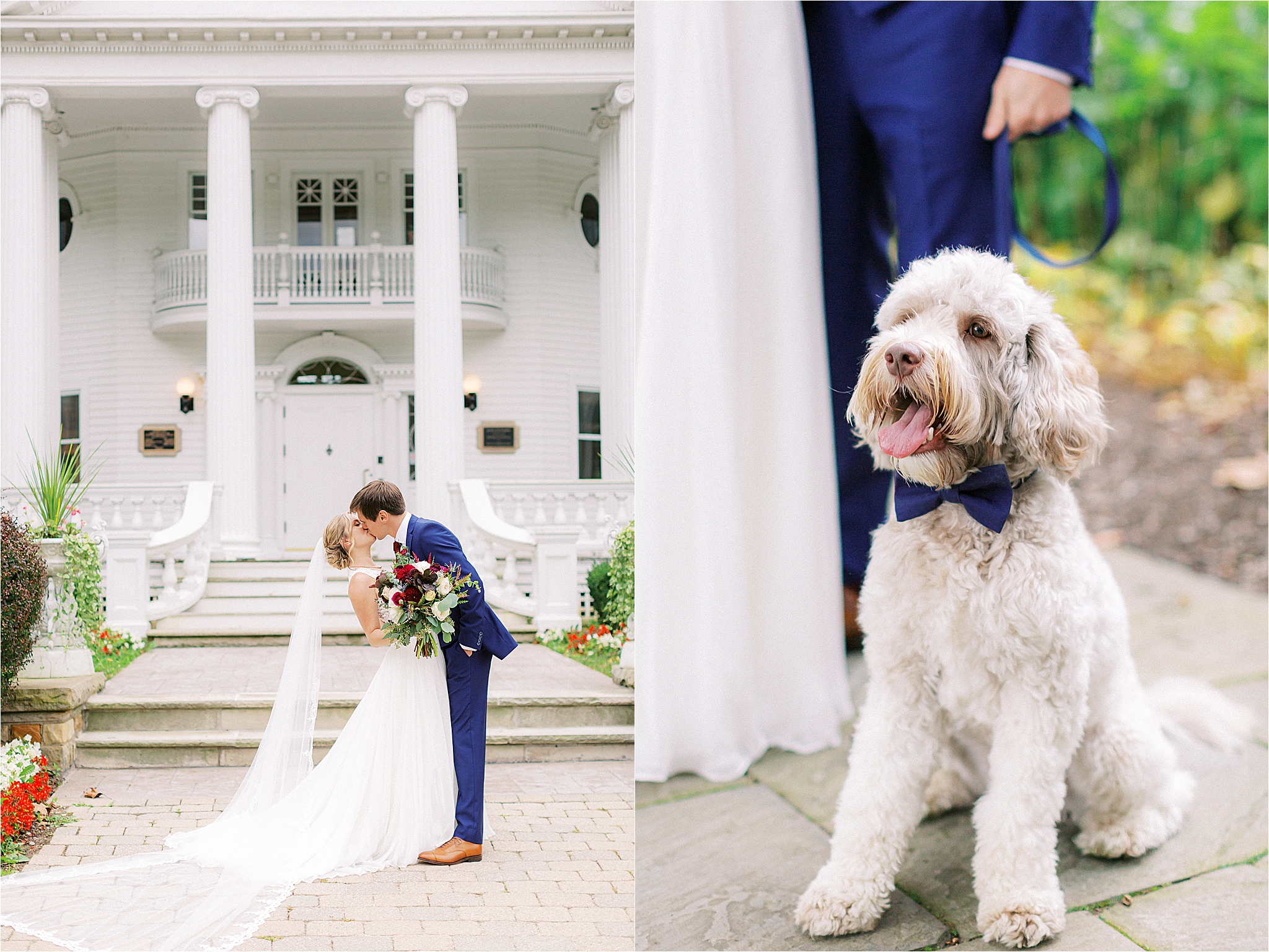 dog at mooreland mansion wedding 