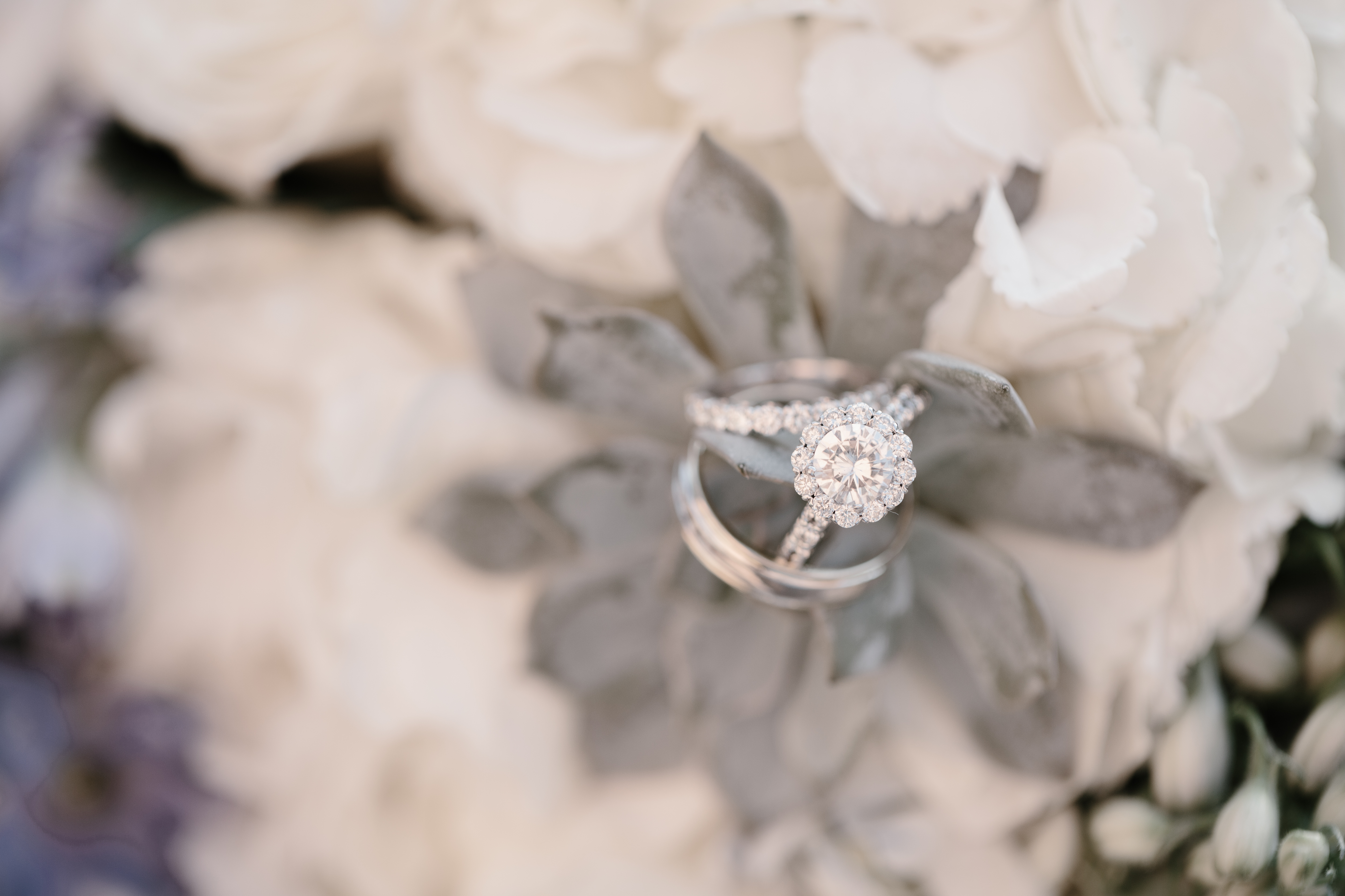 succulent wedding bouquet ring shot